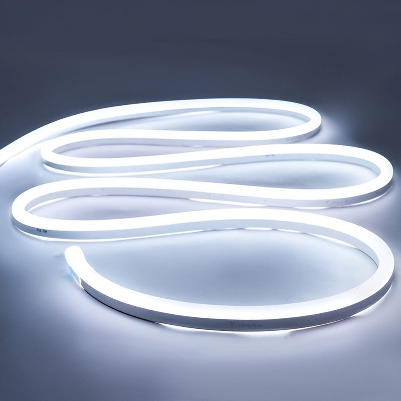 Cinta Led Neon Luz 5 Metros Flexibletransformador 12v