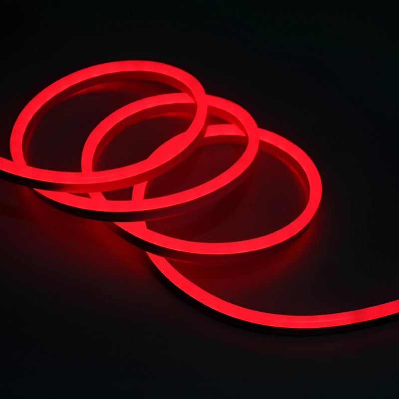 Cinta Led Neon Luz 5 Metros Flexibletransformador 12v