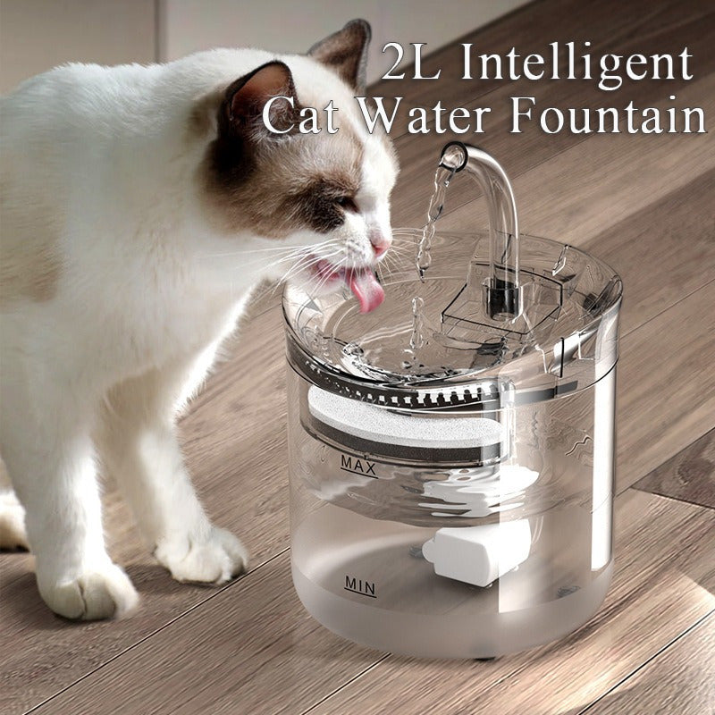 Bebedero De Agua Automatico Gatos Perros Dispensador Transparente